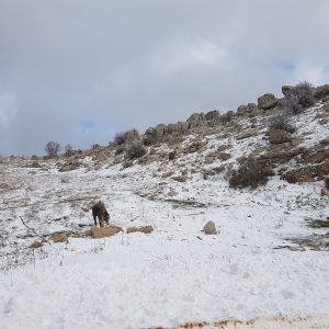20170128_144657