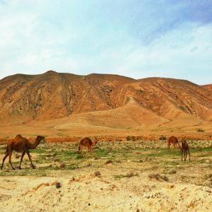 IMG-20170318-WA0087